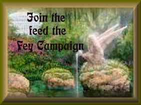 Feed The Fey!