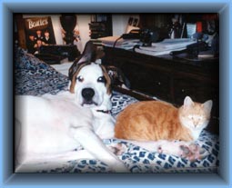 The two of them napping!